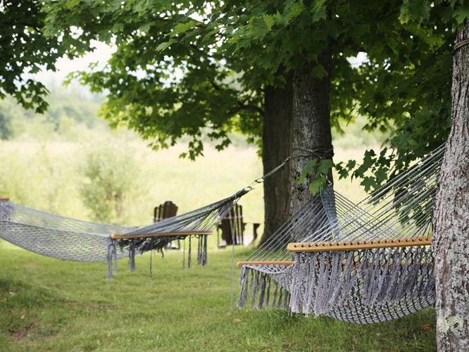 A hammock at the border of a wood